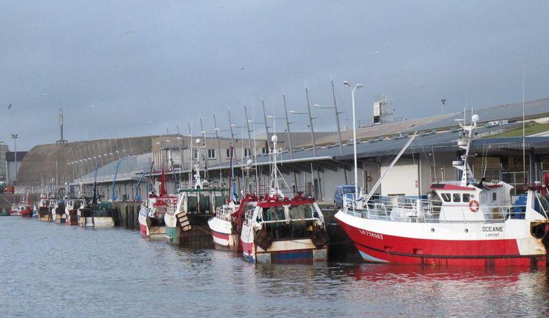 Fichier:Flotte-langoustiniere.jpg